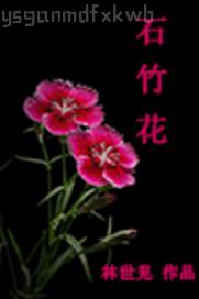 黑人大雞巴插屄圖片